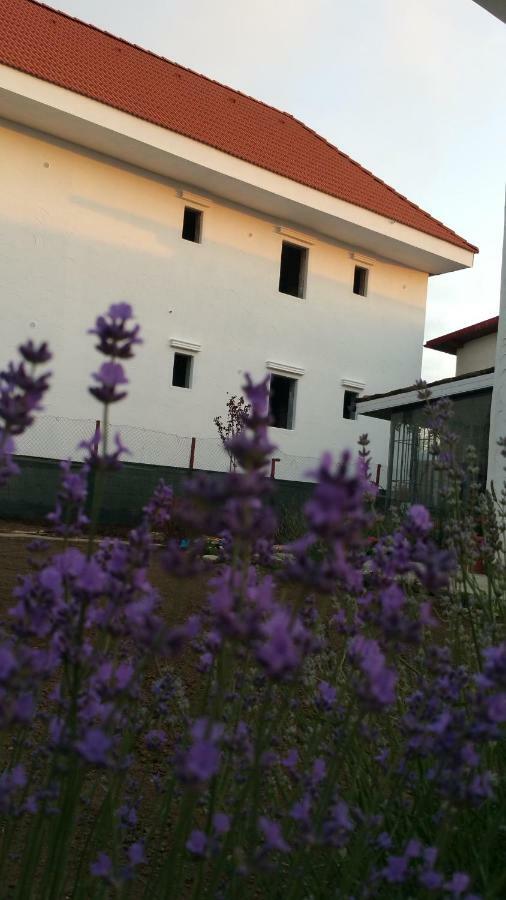 Sunny Border (Adults Only) Hotel Vama Veche Exterior photo